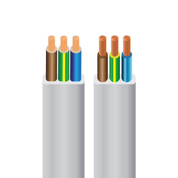 TPS Cable Sizes Explained: Which Cable Should Electricians Use in New Zealand?