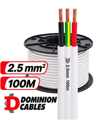 2.5mm TPS 2C+E Flat | 100m